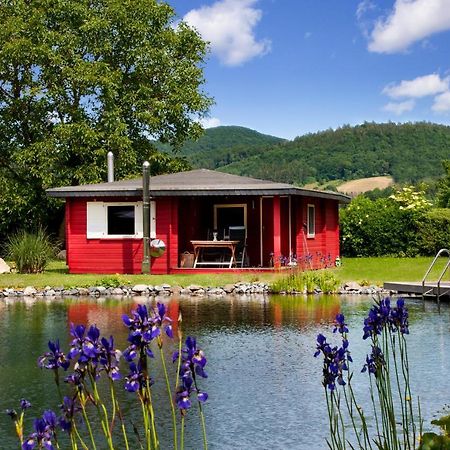 Romantic Wooden Lodge,Sauna,Schwimmteich,Alleinstehend,Absolut Ruhig 헤지슈올덴도르프 외부 사진